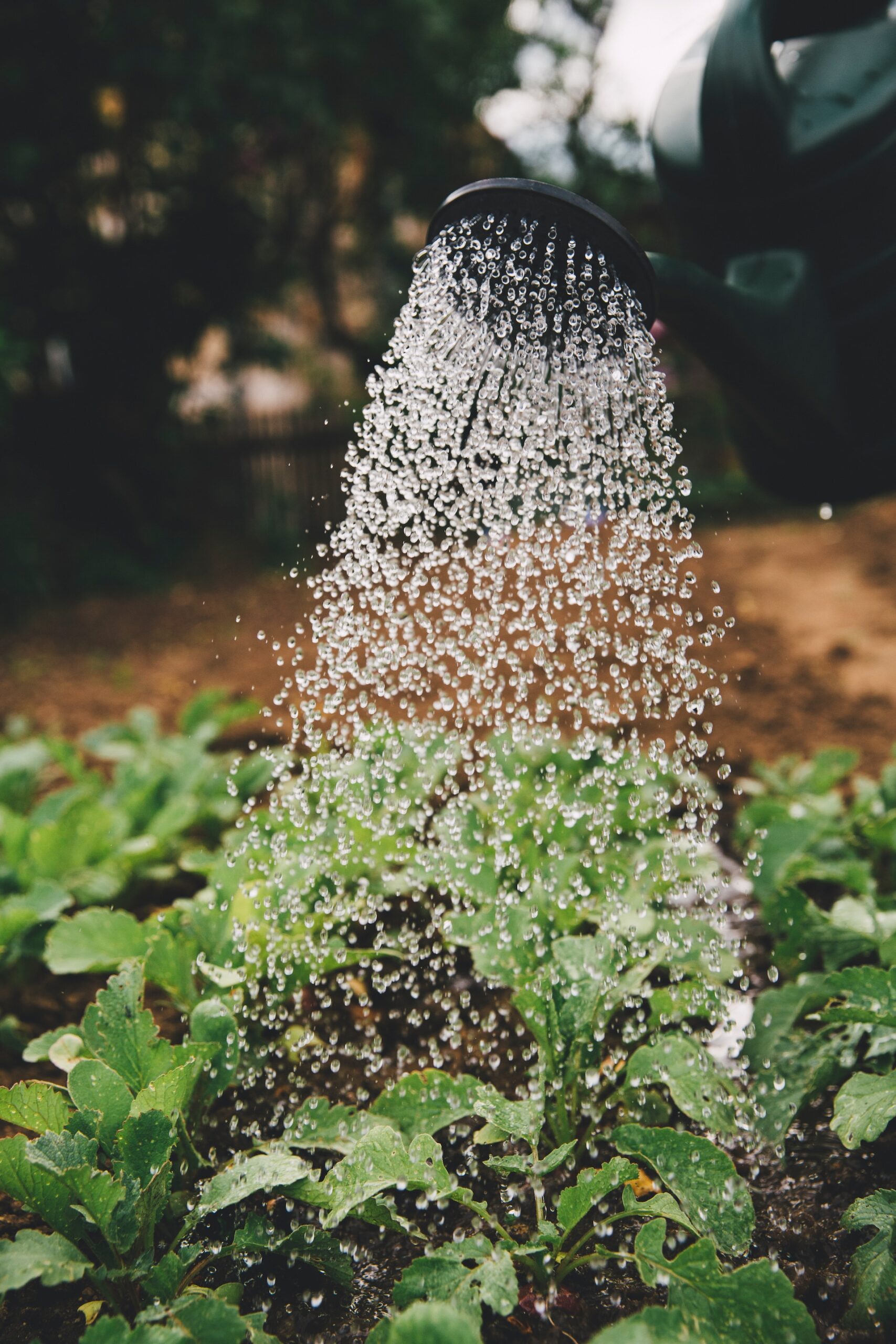 wastewater treatment